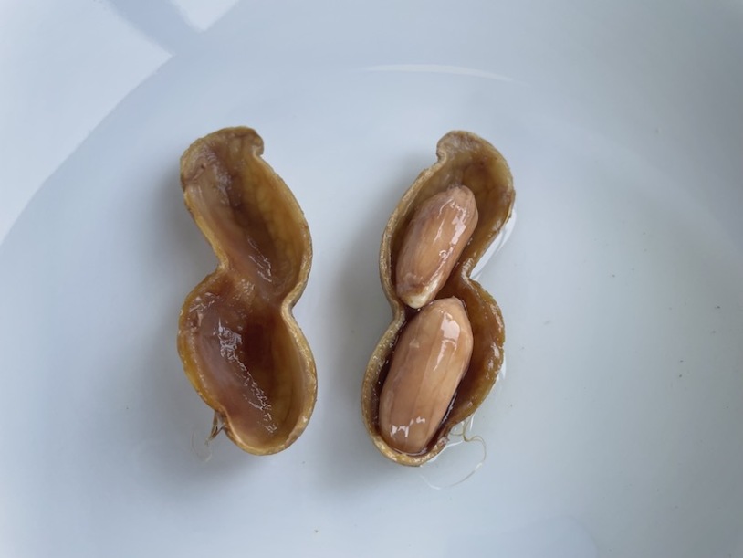 boiled peanuts in shell