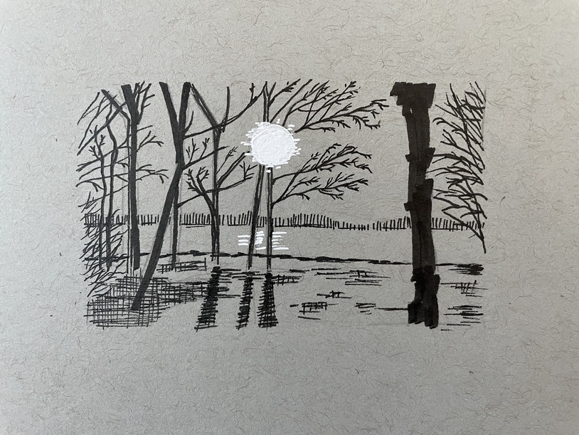 ink drawing of winter trees in front of a lake