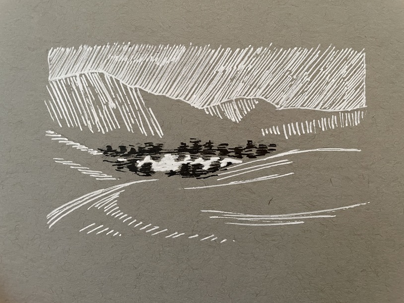 ink drawing of desert landscape