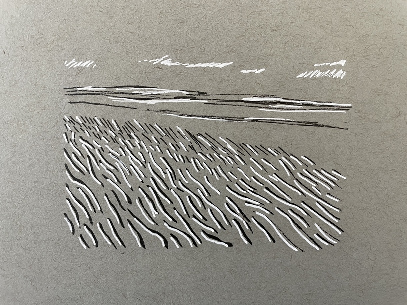 ink drawing of beach at low tide