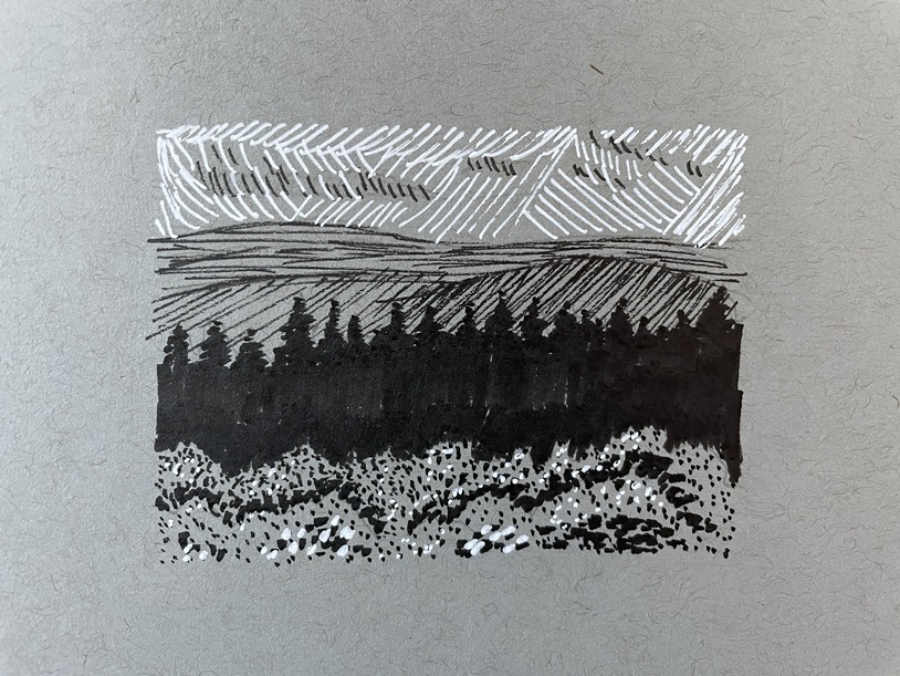 ink drawing of layered landscape